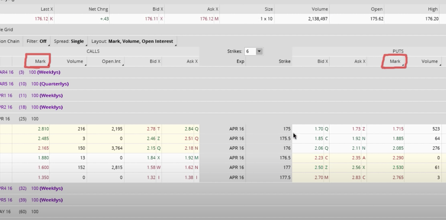 Tulisa - #1 Options Trading & Long Term Investing Expert